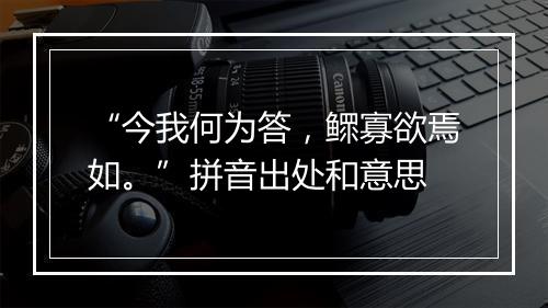 “今我何为答，鳏寡欲焉如。”拼音出处和意思