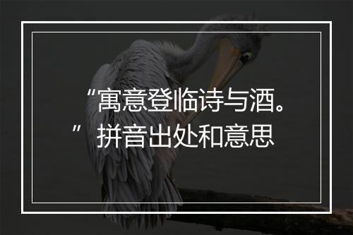 “寓意登临诗与酒。”拼音出处和意思