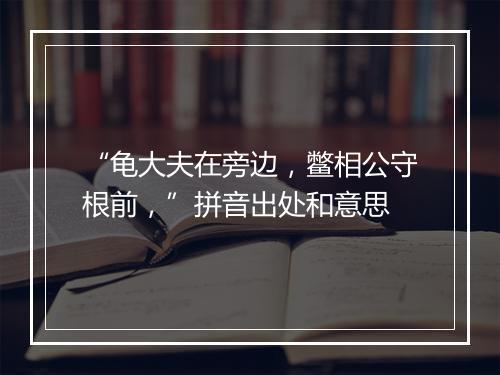 “龟大夫在旁边，鳖相公守根前，”拼音出处和意思