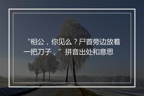 “相公，你见么？尸首旁边放着一把刀子，”拼音出处和意思