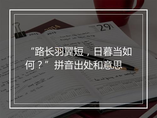 “路长羽翼短，日暮当如何？”拼音出处和意思