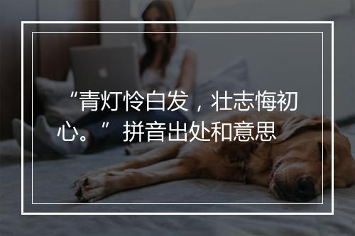 “青灯怜白发，壮志悔初心。”拼音出处和意思