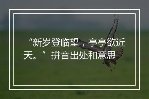 “新岁登临望，亭亭欲近天。”拼音出处和意思