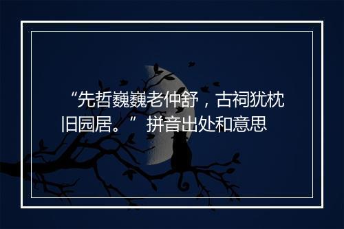 “先哲巍巍老仲舒，古祠犹枕旧园居。”拼音出处和意思