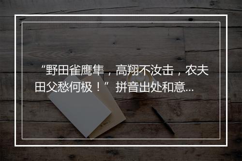 “野田雀鹰隼，高翔不汝击，农夫田父愁何极！”拼音出处和意思