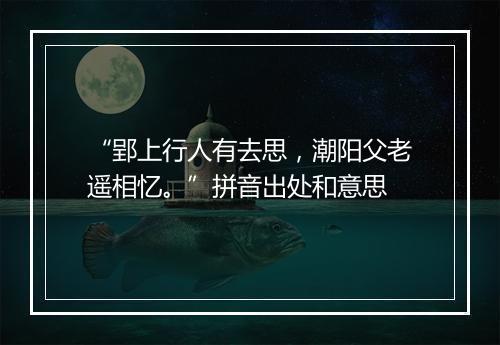 “郢上行人有去思，潮阳父老遥相忆。”拼音出处和意思