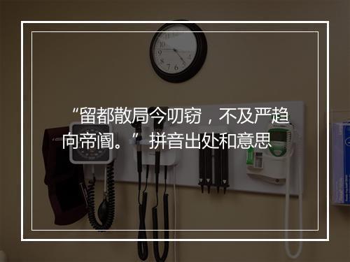 “留都散局今叨窃，不及严趋向帝阍。”拼音出处和意思