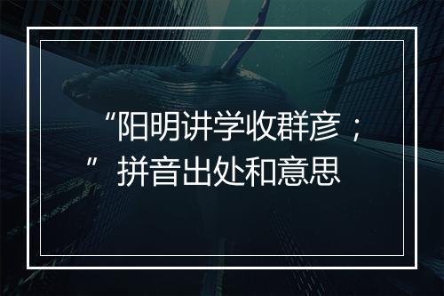 “阳明讲学收群彦；”拼音出处和意思