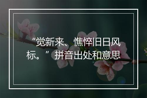 “觉新来、憔悴旧日风标。”拼音出处和意思