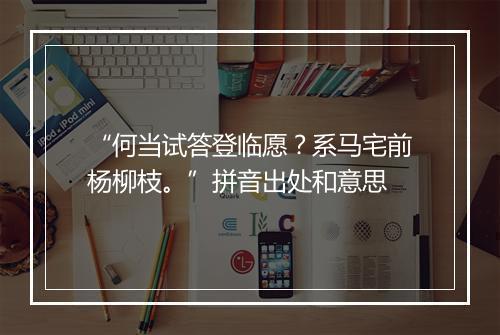 “何当试答登临愿？系马宅前杨柳枝。”拼音出处和意思