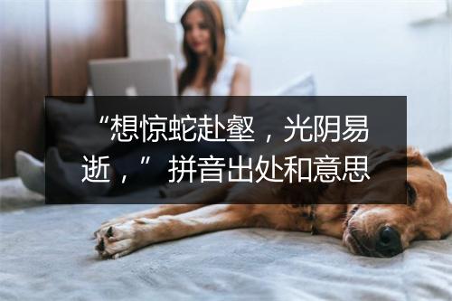 “想惊蛇赴壑，光阴易逝，”拼音出处和意思