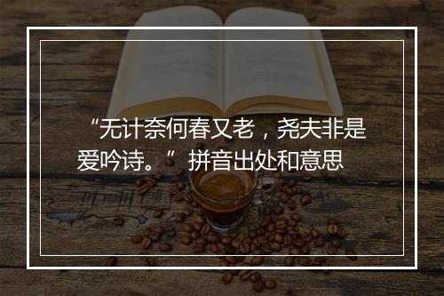 “无计奈何春又老，尧夫非是爱吟诗。”拼音出处和意思