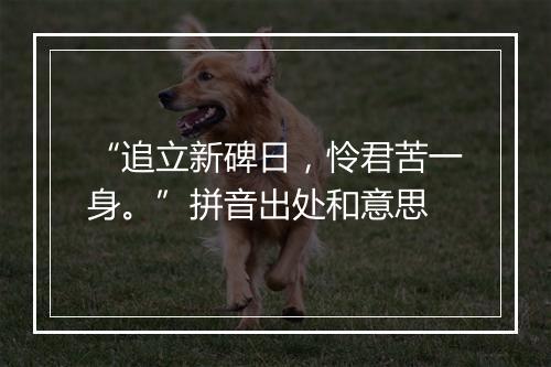 “追立新碑日，怜君苦一身。”拼音出处和意思