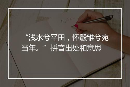 “浅水兮平田，怀鷇雏兮宛当年。”拼音出处和意思