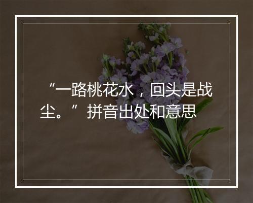 “一路桃花水，回头是战尘。”拼音出处和意思