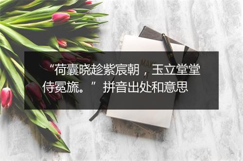 “荷囊晓趁紫宸朝，玉立堂堂侍冕旒。”拼音出处和意思