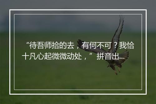 “待吾师拾的去，有何不可？我恰十凡心起微微动处，”拼音出处和意思