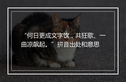 “何日更成文字饮，共狂歌、一曲凉飙起。”拼音出处和意思