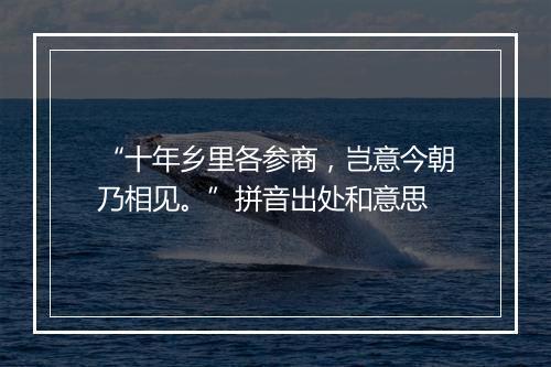 “十年乡里各参商，岂意今朝乃相见。”拼音出处和意思