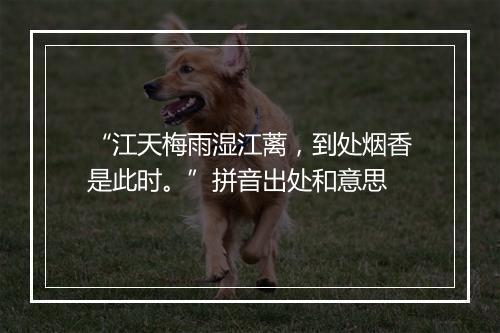 “江天梅雨湿江蓠，到处烟香是此时。”拼音出处和意思