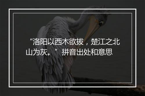 “洛阳以西木欲拔，楚江之北山为灰。”拼音出处和意思