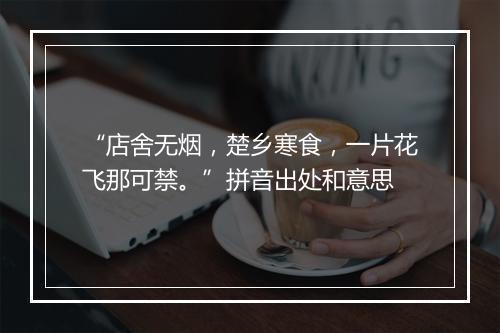 “店舍无烟，楚乡寒食，一片花飞那可禁。”拼音出处和意思