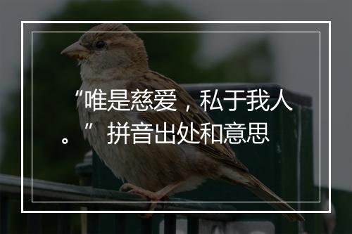 “唯是慈爱，私于我人。”拼音出处和意思