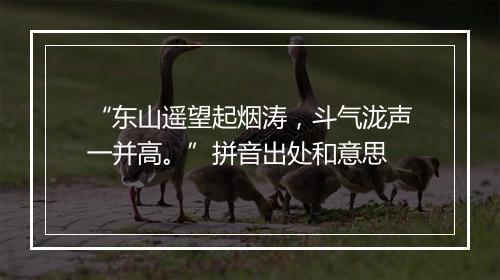 “东山遥望起烟涛，斗气泷声一并高。”拼音出处和意思