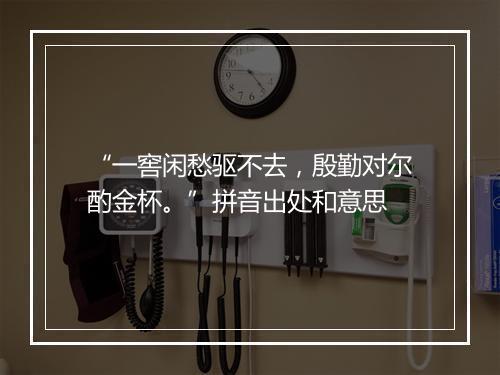 “一窖闲愁驱不去，殷勤对尔酌金杯。”拼音出处和意思