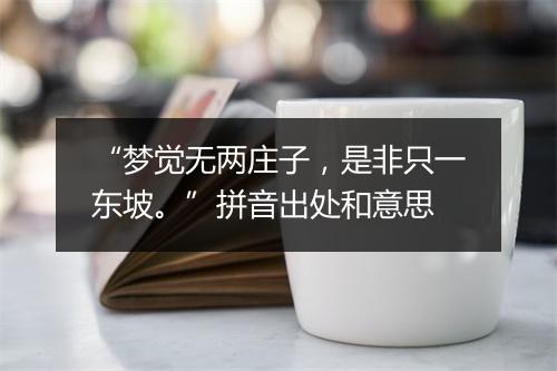 “梦觉无两庄子，是非只一东坡。”拼音出处和意思