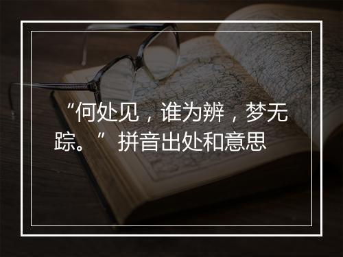 “何处见，谁为辨，梦无踪。”拼音出处和意思