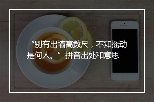 “别有出墙高数尺，不知摇动是何人。”拼音出处和意思