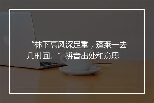 “林下高风深足重，蓬莱一去几时回。”拼音出处和意思