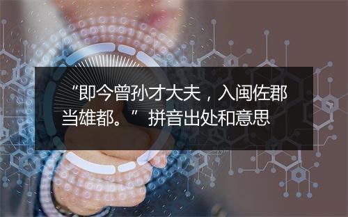 “即今曾孙才大夫，入闽佐郡当雄都。”拼音出处和意思