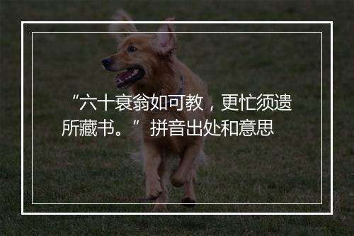 “六十衰翁如可教，更忙须遗所藏书。”拼音出处和意思