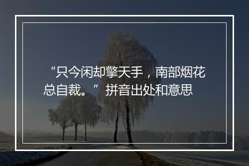 “只今闲却擎天手，南部烟花总自裁。”拼音出处和意思